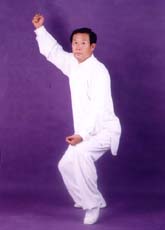 Grand Master Wang Xi An
