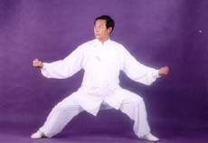 Grand Master Wang Xi An