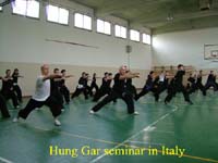 Hung Gar Seminar In Italy