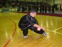 Fation Thomaj at the Second World Traditional Wushu Championships 2006 - Zhengzhou, China