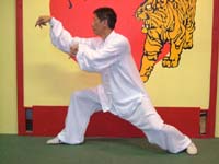 Master Tang Tung Wing