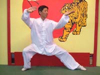 Master Tang Tung Wing