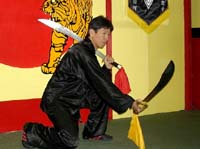 Master Tang Tung Wing