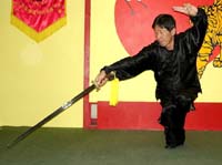 Master Tang Tung Wing