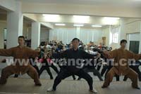 Grand Master Wang Xian Seminars in Greece