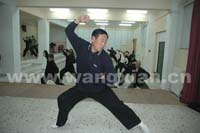 Grand Master Wang Xian Seminars in Greece